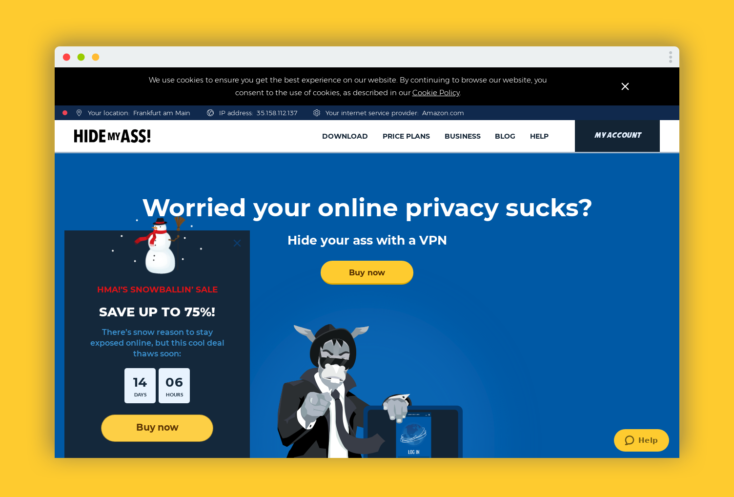 hidemyass vpn setup